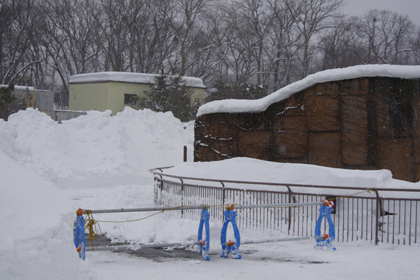 除雪