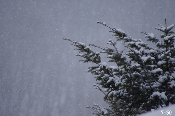 雪