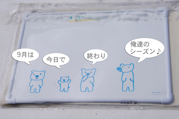 お知らせ4頭
