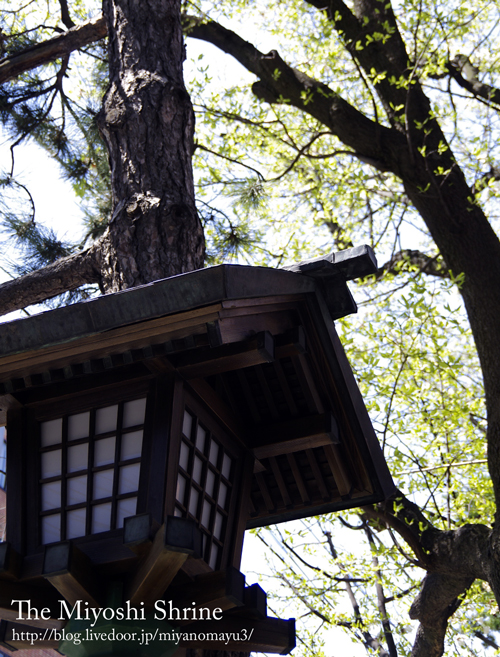 三吉神社