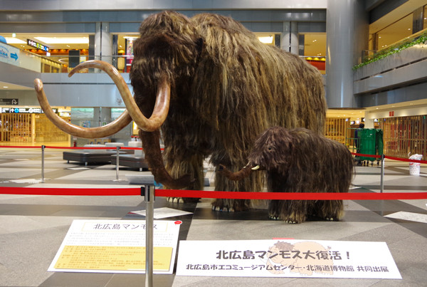 マンモス