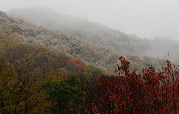 雪