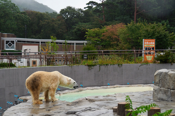 水飲み