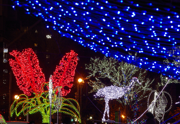 イルミネーション