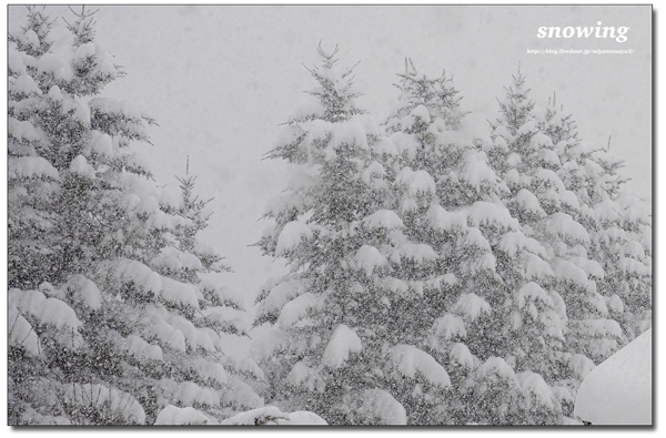 積雪