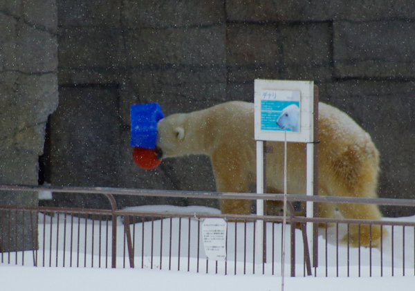 浮きデナリ