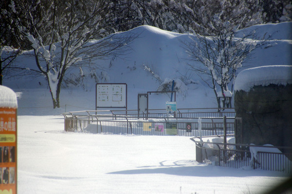 雪面