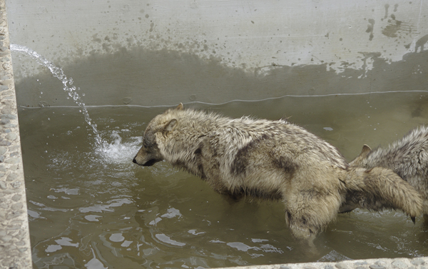 水へ