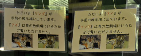 交代