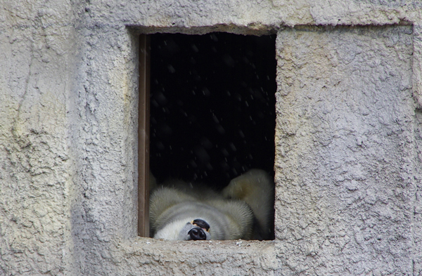 屋内