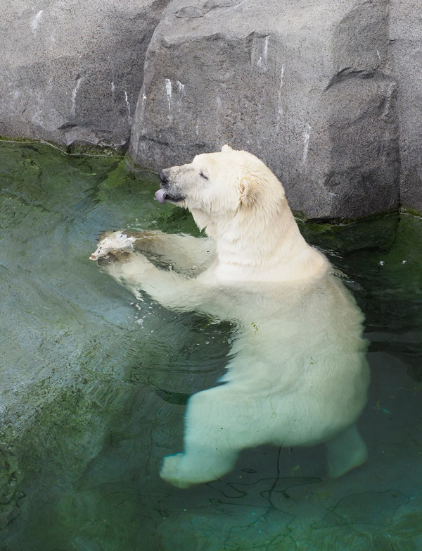 浅瀬