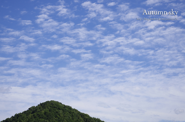 空
