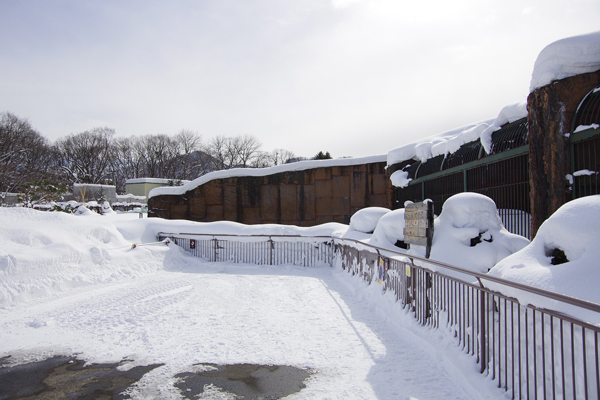 除雪