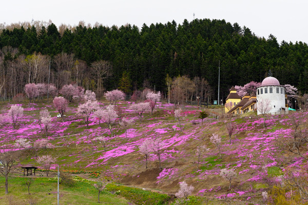 滝上公園