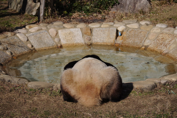 水のみ