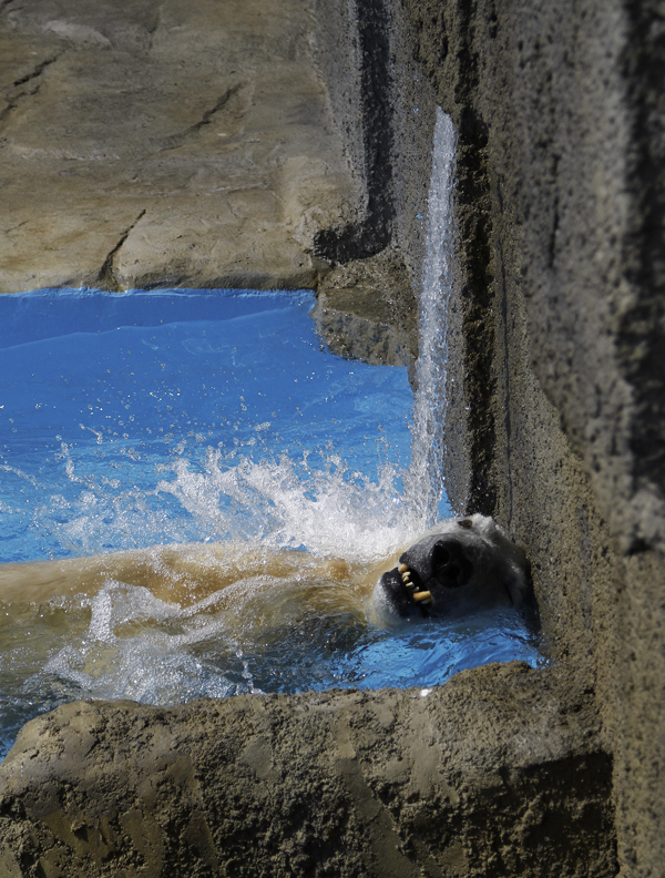 キャンディ水