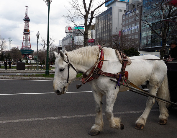 銀太