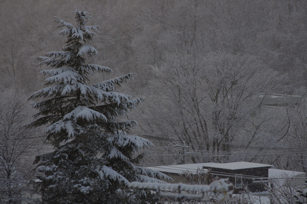 雪