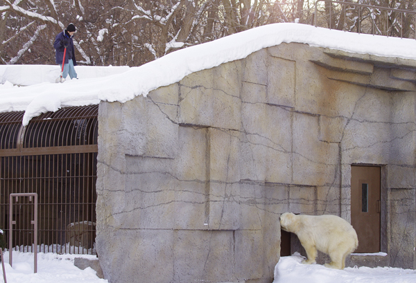 雪下ろし