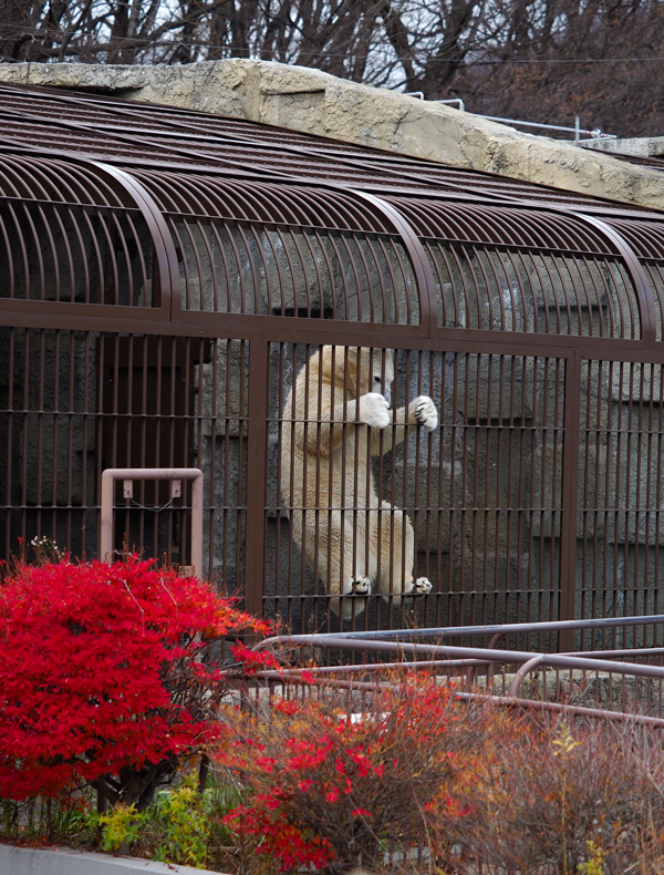 のぼる