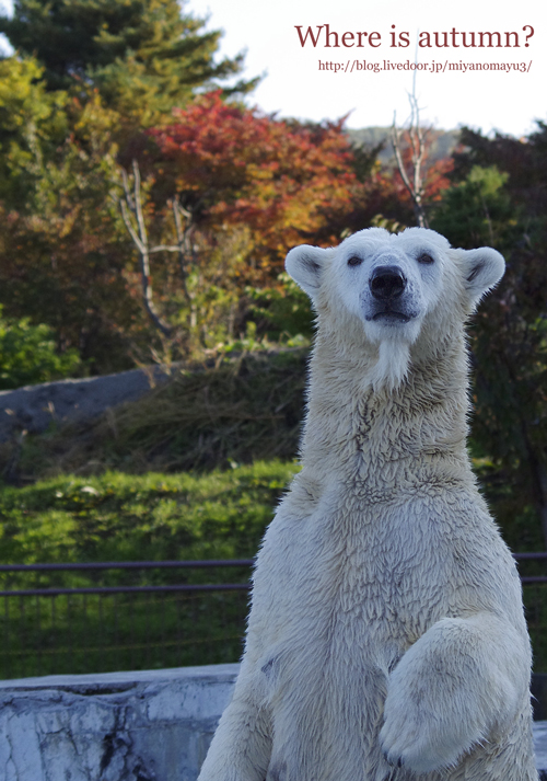 ララ