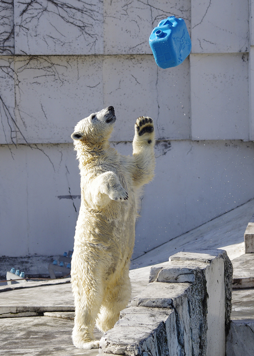 投げ