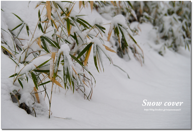 積雪