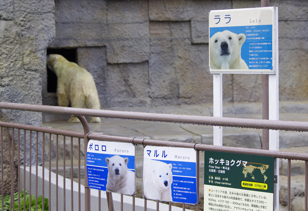 看板