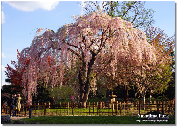 中島公園