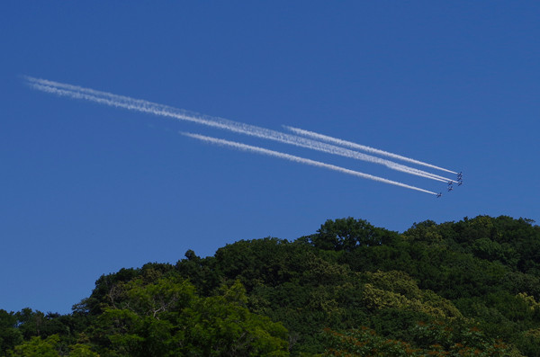 円山と