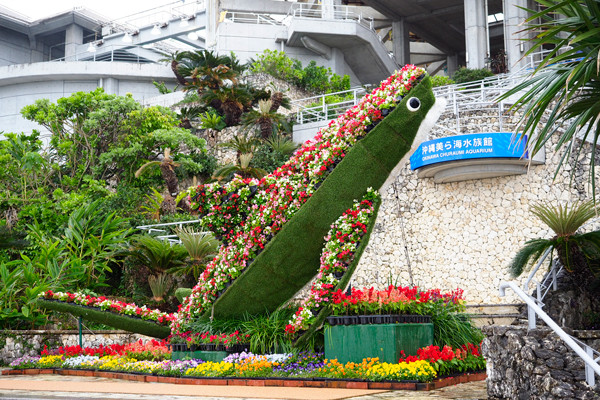 美ら海水族館