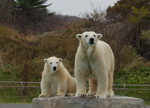 閉園