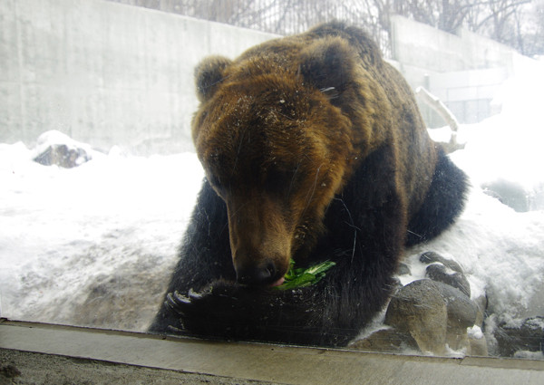 食べる