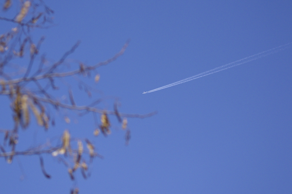 飛行機雲