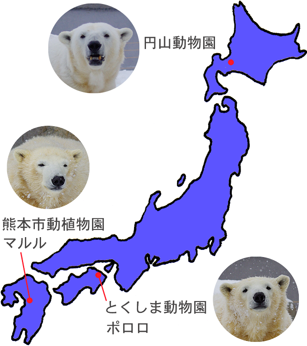 ３頭地図