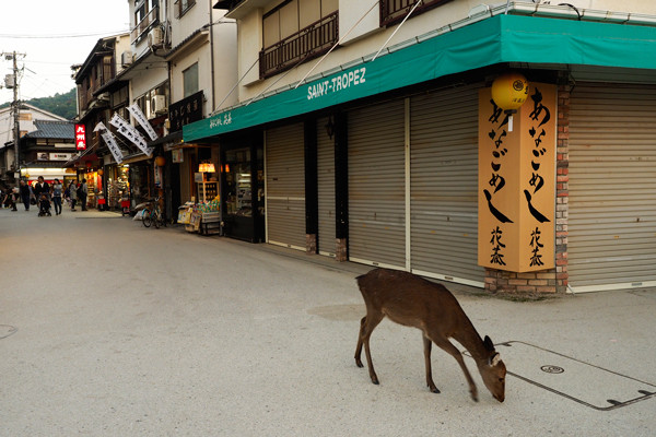 お店