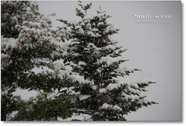 雪