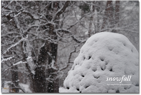 降雪