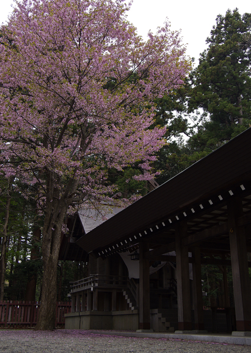 開拓神社