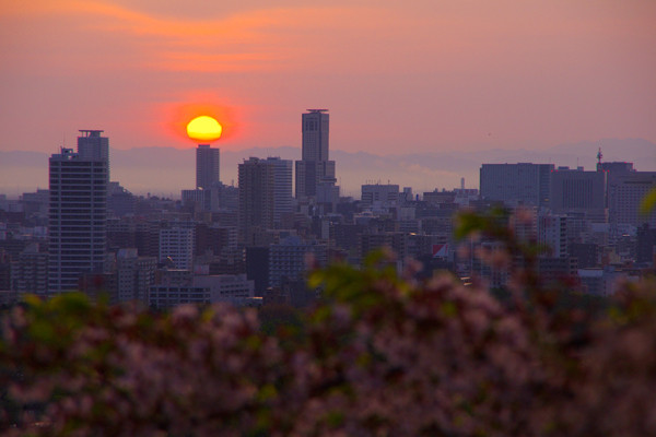 朝日