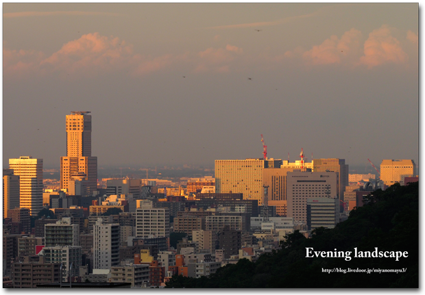 札幌