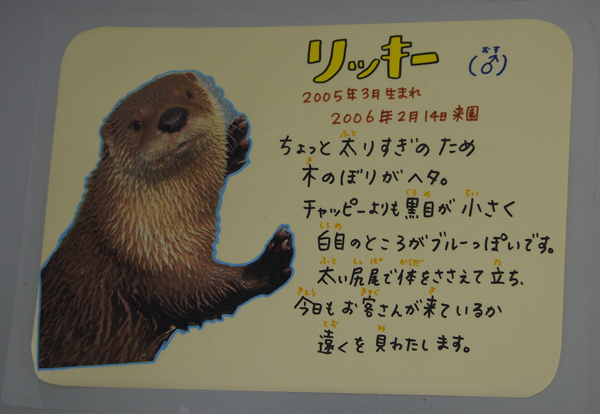 リッキー