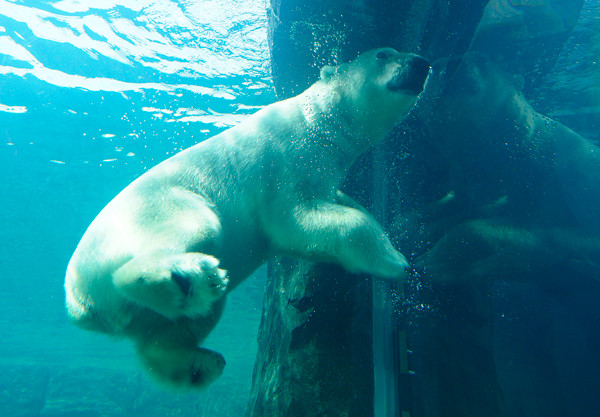 水中ララ