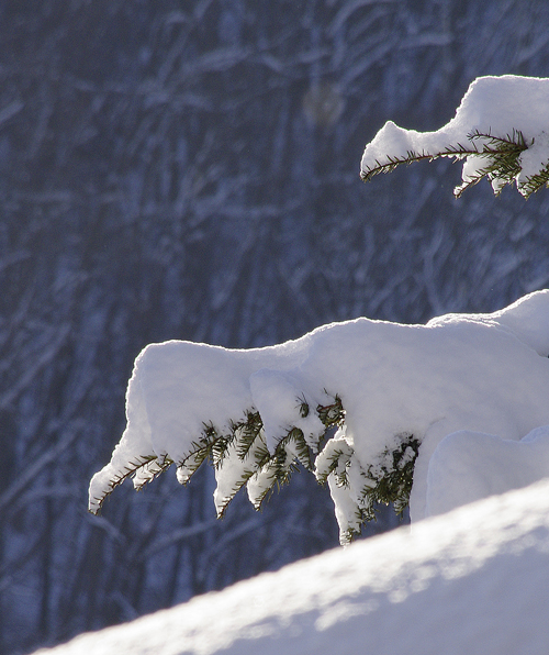 積雪