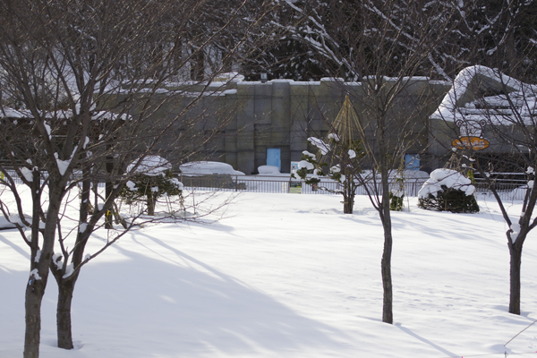 雪の量