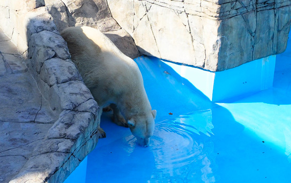 水のむデナリ