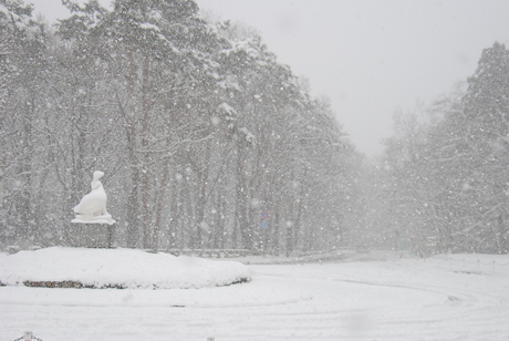 雪