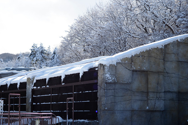 雪景色