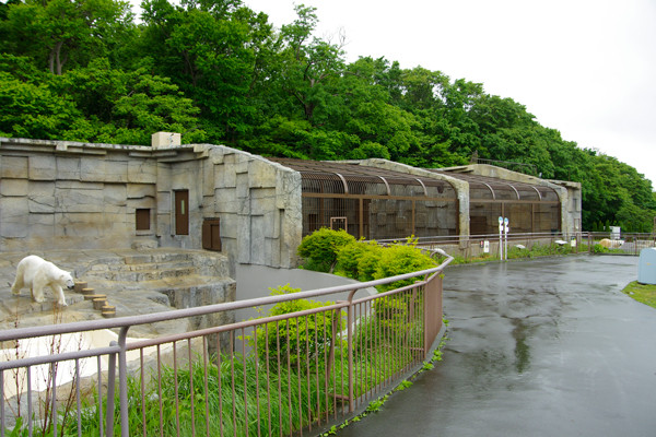 雨