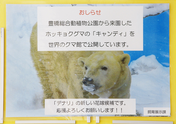 入り口